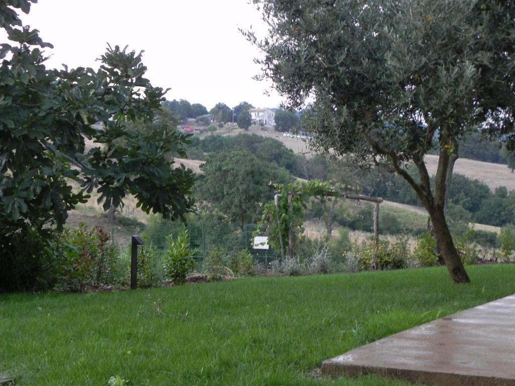Agriturismo Sugheretello Semproniano Exterior photo