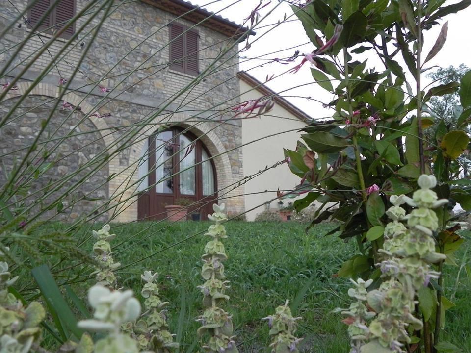Agriturismo Sugheretello Semproniano Exterior photo